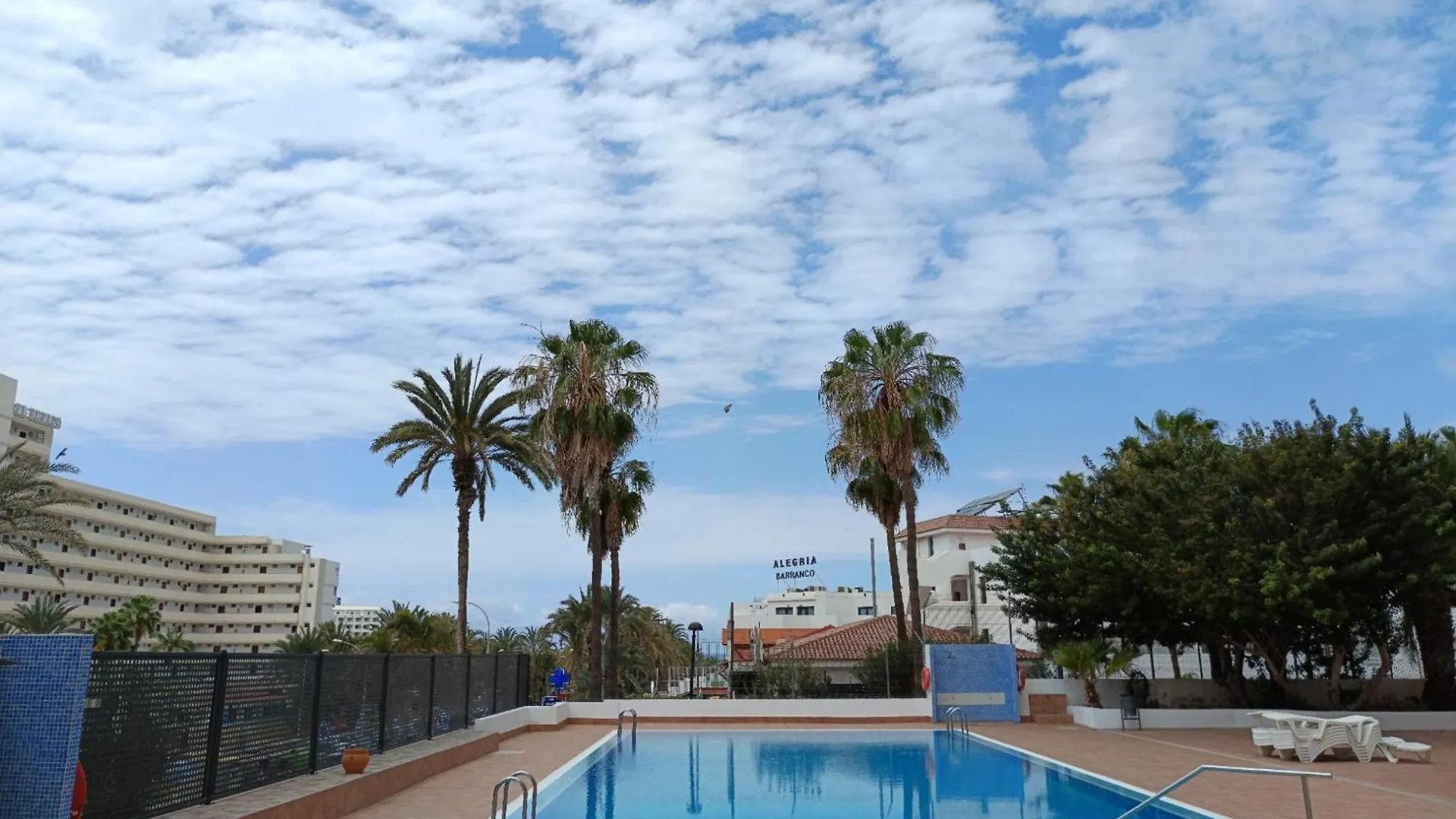 Los Tajinastes-Playa de Las Americas Arona  España